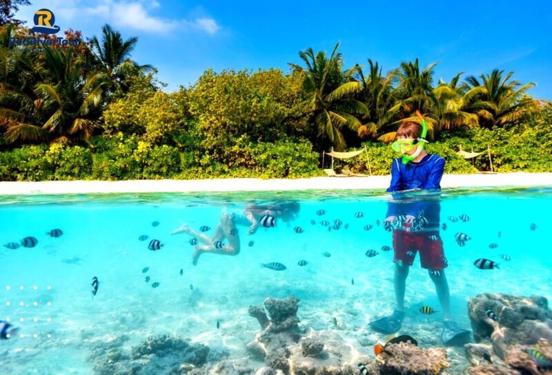 RedRiverTour- Discovery 3 islands with Cable car Phu Quoc - Who Should Consider This Tour?