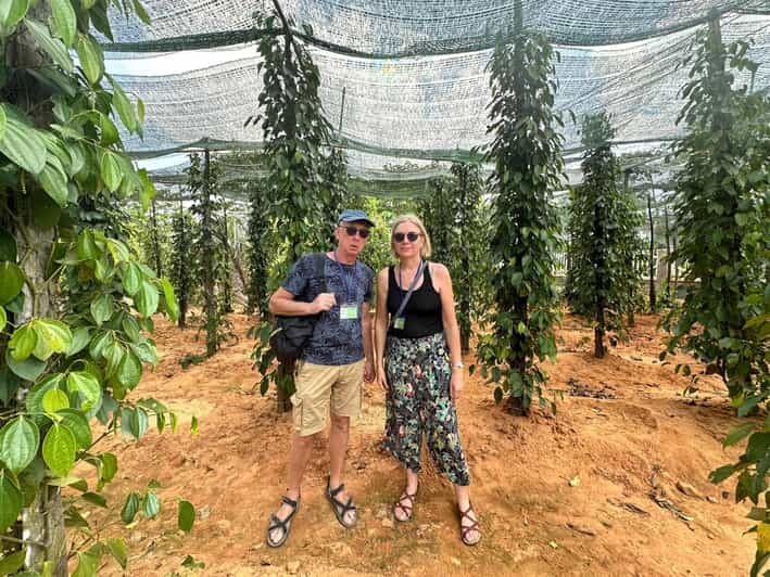 RedRiverTour - Tour The Beauty of the Southern Land Phu Quoc - Value for Money and Critical Considerations