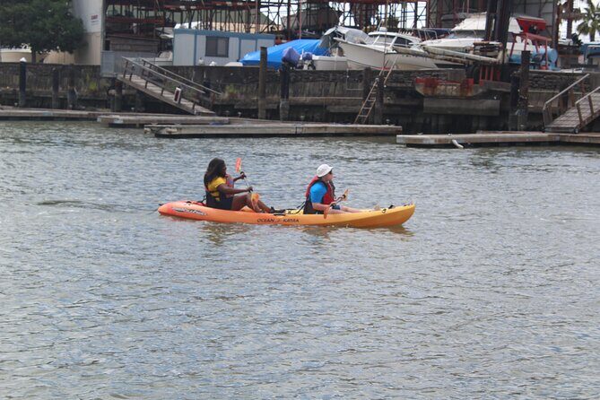 Redwood City Double Kayak Rental - Key Points