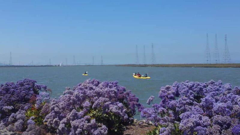 Redwood City: Kayak Rental - What’s Included and What to Bring