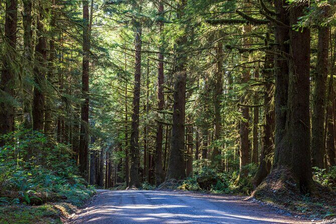 Redwood National and State Parks Self-Guided Audio Driving Tour - FAQ