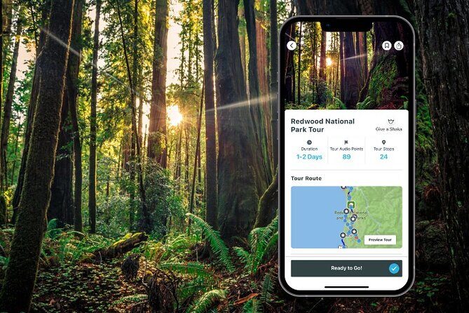 Redwood National Park Self-Guided Audio Tour - Exploring the Itinerary in Detail