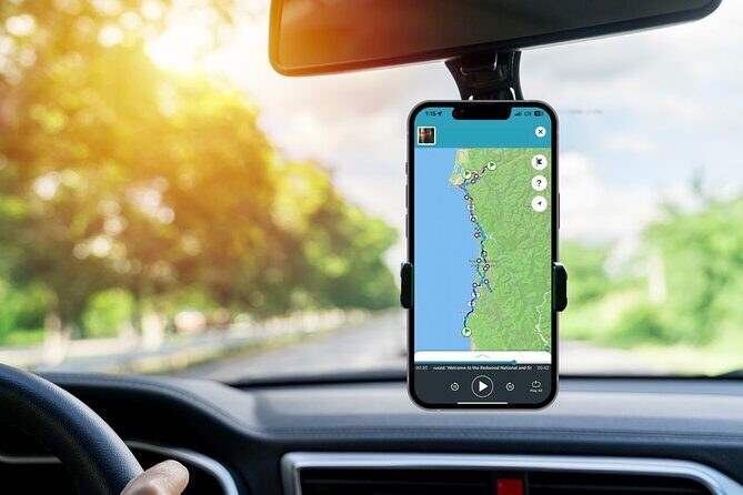 Redwood National Park Self-Guided Audio Tour - Who Is This Tour Best For?