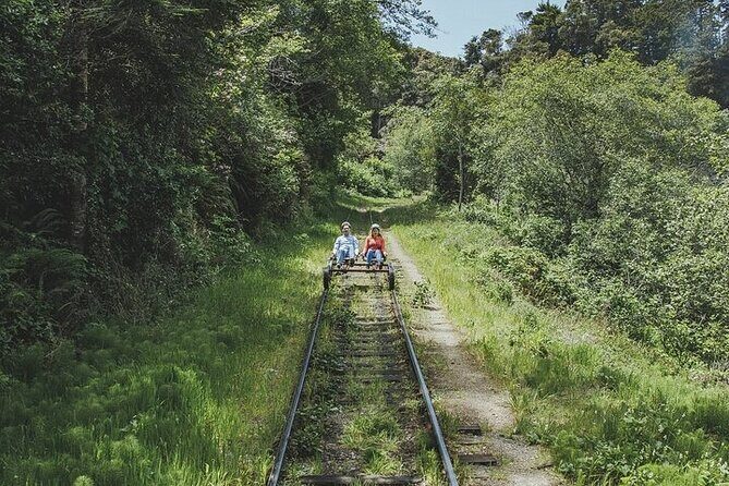 Redwoods Railbike Along Pudding Creek - The Sum Up