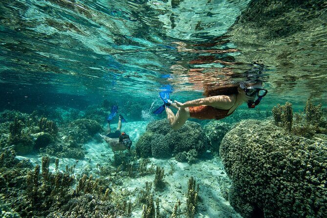 Reef Discovery Luxury Private Snorkeling Lagoon Tour - FAQ