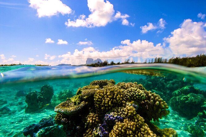 Reef Discovery Private Full Day Lagoon Tour & Water Lunch - FAQ