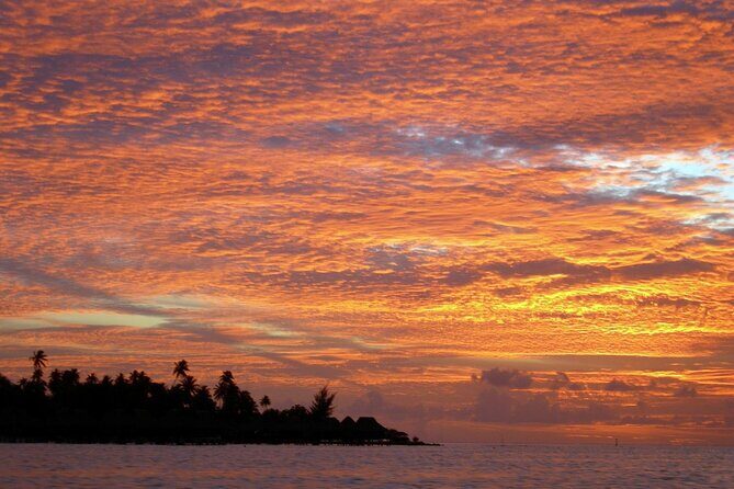 Reef Discovery Private Sunset Cruise in Bora-Bora - The Sum Up: Who Will Love This Cruise?