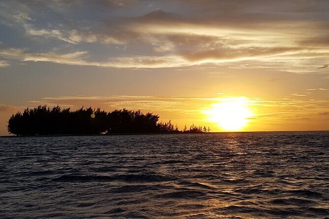 Reef Discovery Private Sunset Cruise in Bora-Bora - FAQ: Your Questions Answered