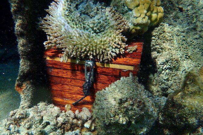 Reef Discovery Private Treasure Hunt - Who Is This Tour Best For?