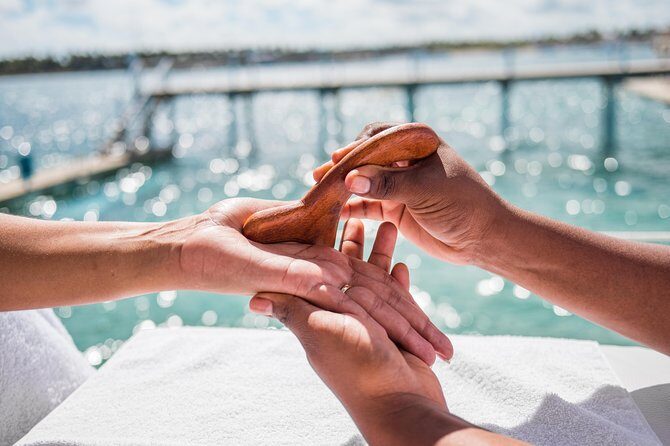 Reef Explorer Multiple activity Excursion from Punta Cana by Marinarium - The Sum Up