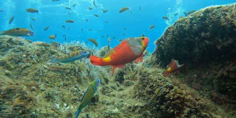 Reef Fish Watching - Who Would Enjoy This Tour Most?