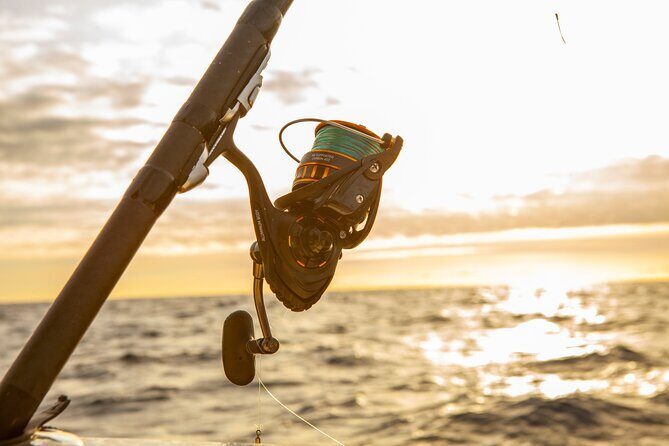 Reef Fishing Experience from Portimao - A Closer Look at the Reef Fishing Experience from Portimao