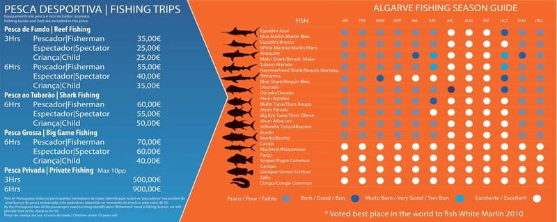 Reef Fishing in Vilamoura - Who Should Consider This Tour?