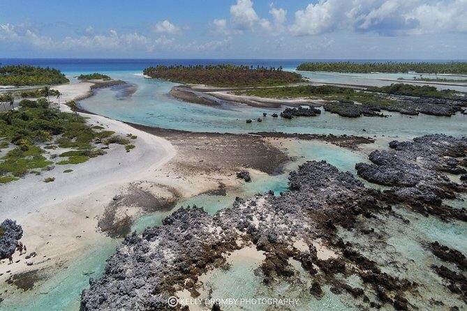 Reef island private tour - In-Depth Review of the Reef Island Private Tour
