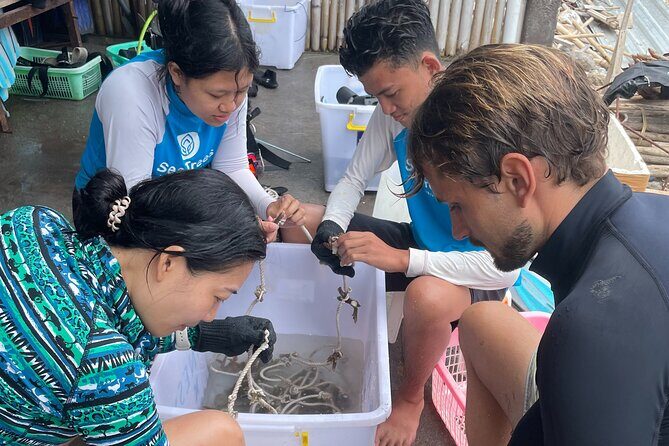 Reef Rehabilitation Course and Snorkeling - In-Depth Review of the Reef Rehabilitation Course and Snorkeling Experience