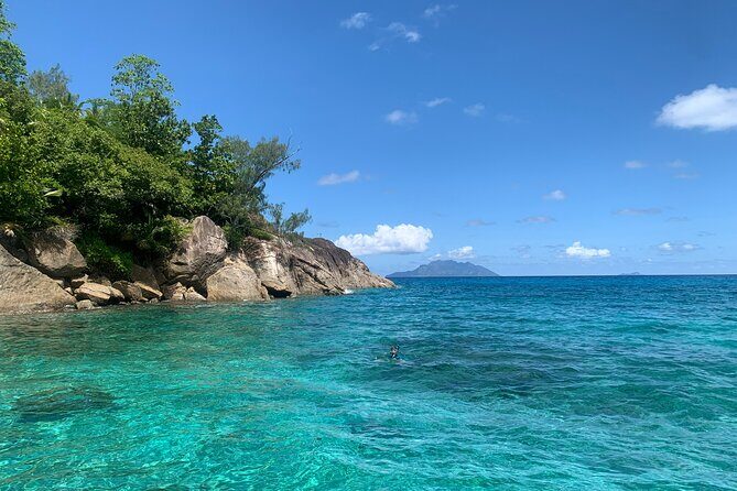 Reef Safari - Snorkeling, Fish Feeding & Lunch (Shared Day Trip) - An In-Depth Look at the Reef Safari Tour