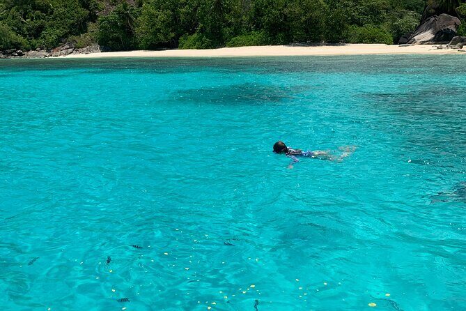 Reef Safari - Snorkeling, Fish Feeding & Lunch (Shared Day Trip) - FAQ
