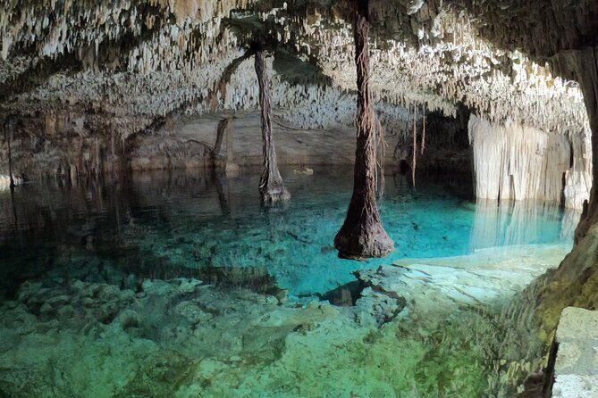 Reef Snorkel + 3 Cenotes with local food experience! - FAQ