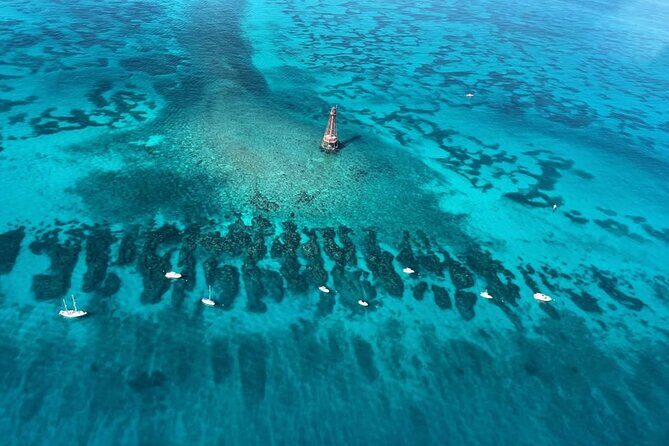 Reef Snorkel Adventure at Sombrero Key Light Reef - Key Points