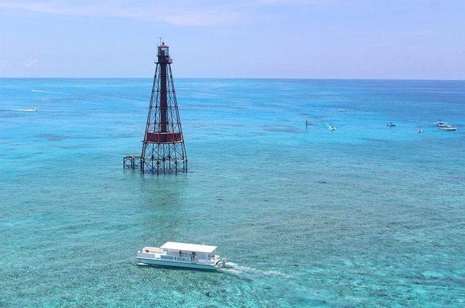 Reef Snorkel Adventure at Sombrero Key Light Reef - In-Depth: What Makes This Snorkeling Experience Stand Out