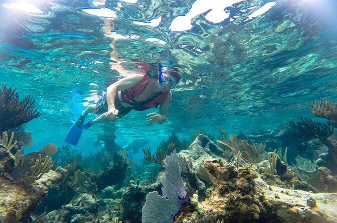 Reef Snorkel and Cenote Experience - Who Will Love This Tour?