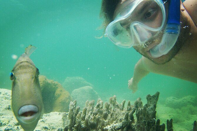 Reef Snorkel + Sandbar & Sunset Sail-Small Groups with Honest Eco - A Deep Dive Into the Experience
