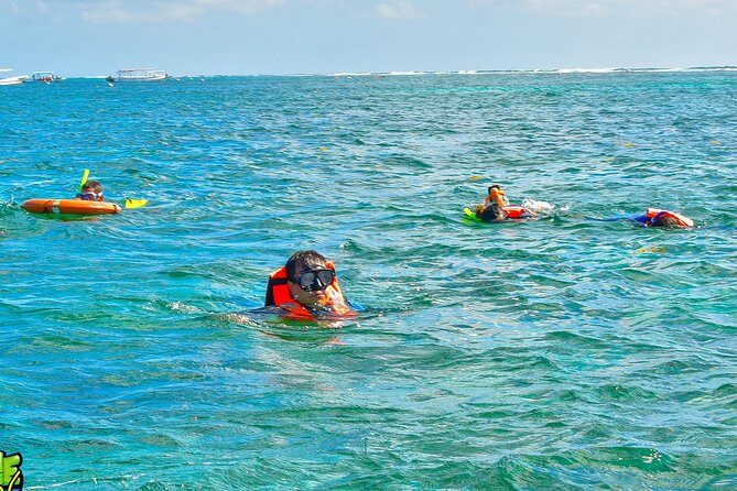 Reef Snorkeling in National Park from Cancun with Beachside Lunch - Final Thoughts: Is This Tour for You?