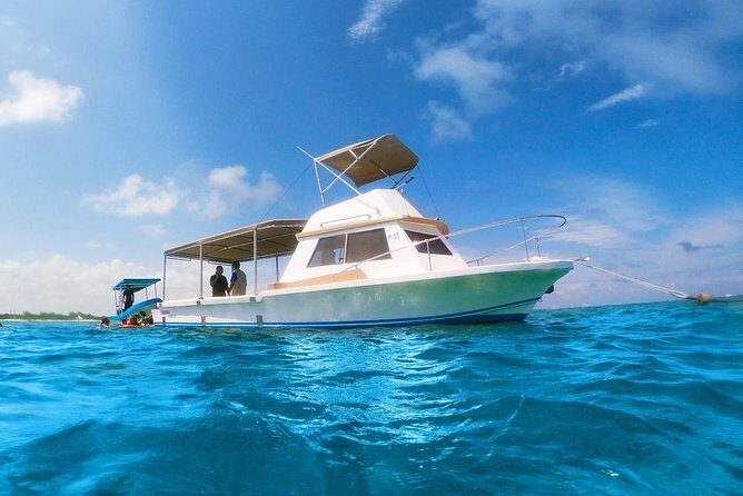 Reef Snorkeling in National Park from Cancun with Beachside Lunch - In The Sum Up