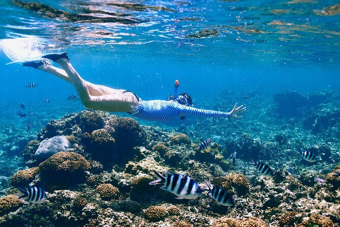 Reef Snorkeling with ATV, Zipline, Cenote that includes lunch and transportation - Exploring This Cancun Adventure in Detail