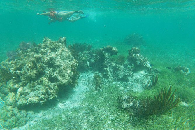Reef Snorkeling with ATV, Zipline, Cenote that includes lunch and transportation - Who Is This Tour Best For?