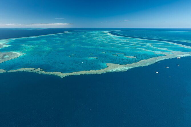 Reef & Whitehaven Spectacular - 60 Minute Helicopter Tour - Who Should Consider This Tour?