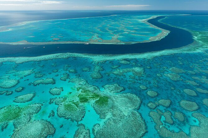 Reef & Whitehaven Spectacular - 60 Minute Helicopter Tour - Potential Drawbacks to Keep in Mind