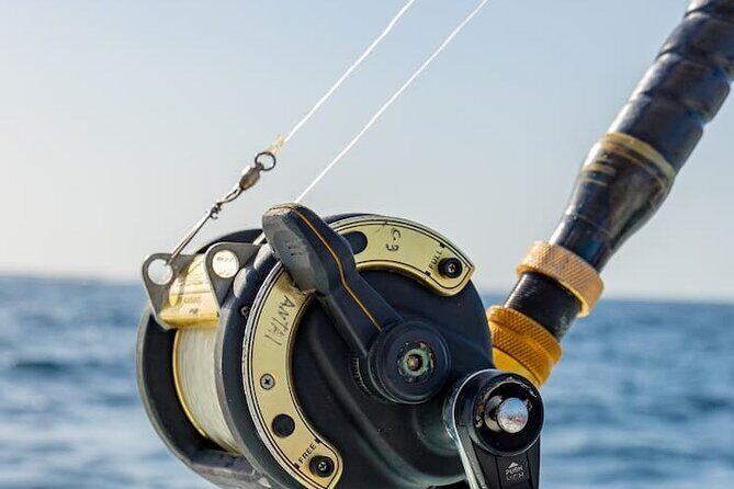 Reel Adventures: A Fin-tastic Fishing Tour - What to Expect from Reel Adventures in Punta Cana