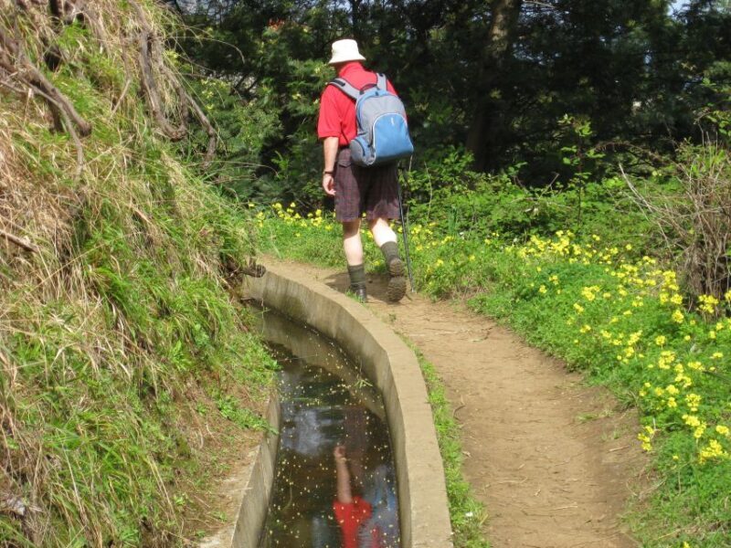 Referta & Castelejo: Half-Day Morning Walk - Frequently Asked Questions