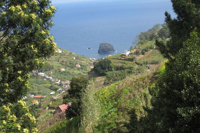 Referta Castelejo Levada Walk from Funchal - Who Should Book This Tour?