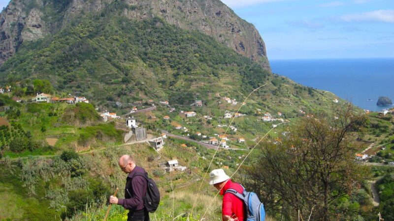 Referta / Castelejo - Levada Walk - What the Tour Covers and Why It Matters