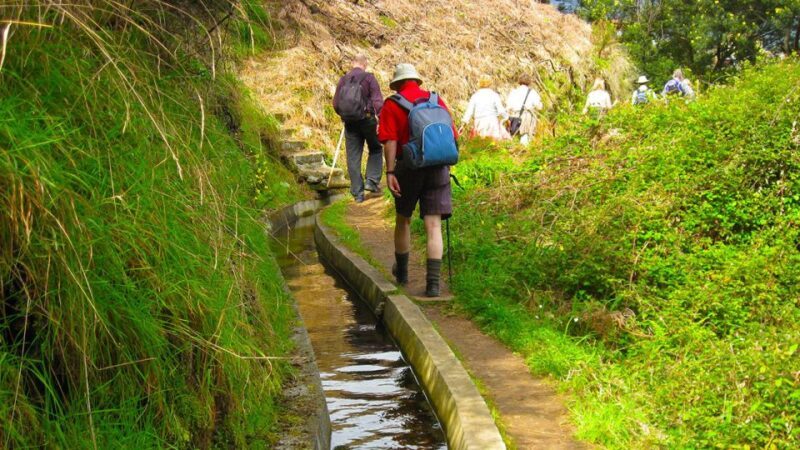 Referta / Castelejo - Levada Walk - Authentic and Knowledgeable Guides