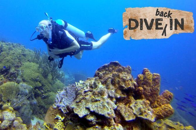 Refresher Dive - Overview of the Refresher Dive Experience in Curacao
