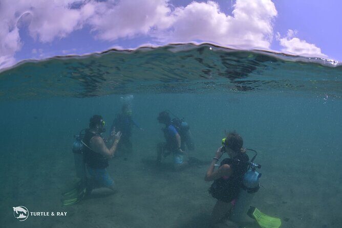 Refresher Dive - Key Points