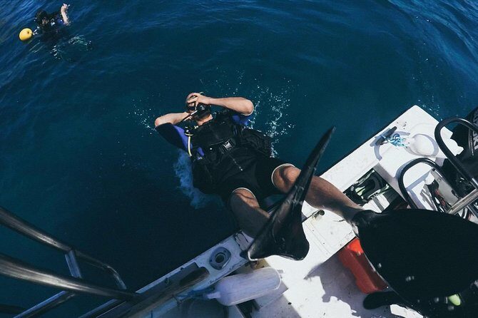 Refresher Scuba Diving Course Costa Rica - A Practical Dive into Costa Rica’s Refreshing Scuba Experience