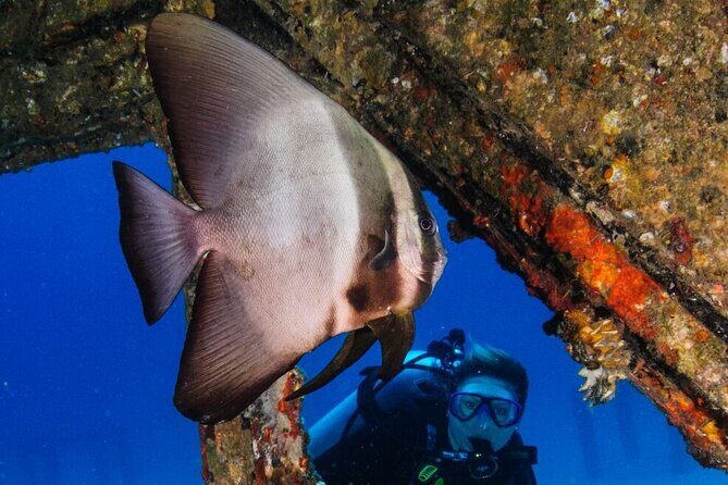 Refresher scuba diving trip, 3 dives at Racha Noi and Racha Yai - Key Points