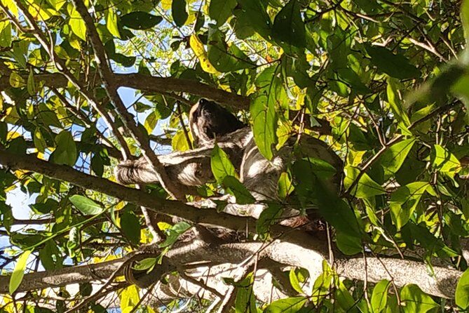 Regional Cruise in the Amazon - What You Can Expect on This Amazon Cruise