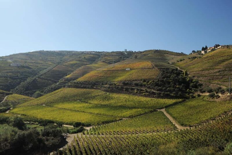 Régua: Pocinho Train Ride and Iconic Douro Dams Cruise - Key Points