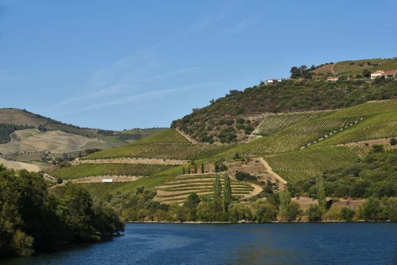 Régua: Pocinho Train Ride and Iconic Douro Dams Cruise - Who will love this tour?