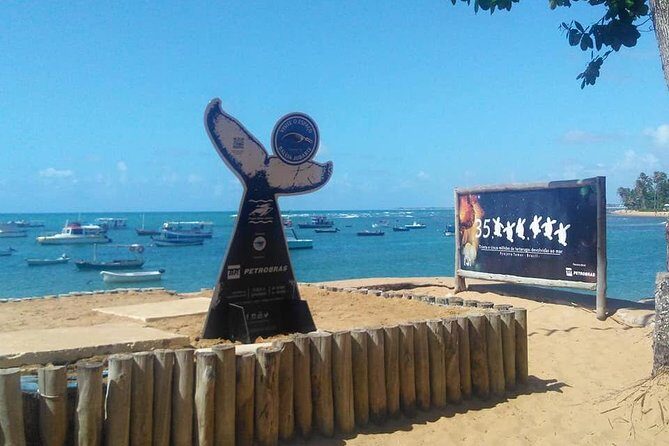 Regular Tour to Forte Beach - Leaving Salvador by Bahia Top Turismo - An In-Depth Look at the Tour Experience