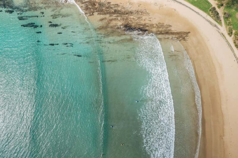 Reimagined Great Ocean Road 1-Day Tour from Melbourne - Who Will Benefit Most?