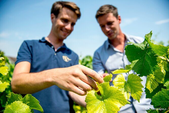 Reims afternoon tour Champagne and family growers - What You’ll Experience at Each Stop