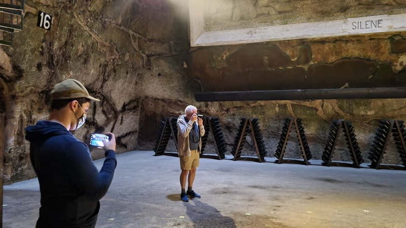 Reims : Discovery Small producers Champagne Day tour - Who Should Consider This Tour?