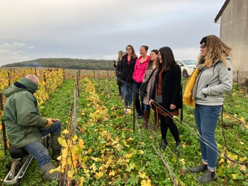 Reims/Epernay: Champagne Day Tour with Tastings - Experience the Sparkling World of Champagne in Épernay and Reims