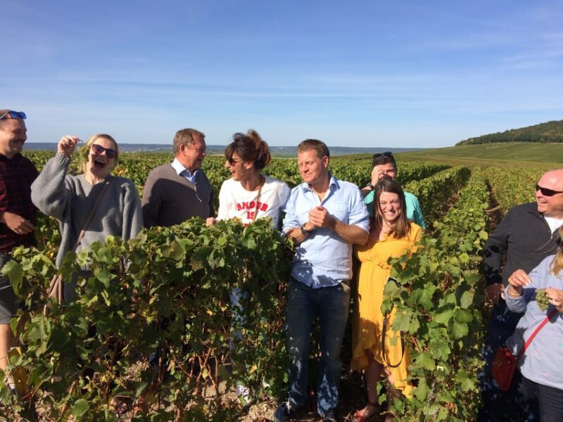 Reims/Epernay: Champagne Day Tour with Tastings - Who Should Consider This Tour?